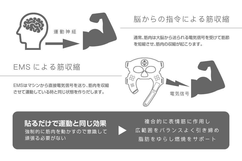 貼るだけで運動と同じ効果。強制的に筋肉を動かすので意識して頑張る必要がない。複合的に表情筋に作用し、広範囲をバランスよく引き締め脂肪をゆらし燃焼をサポート